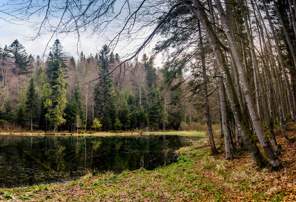 Polianytske meer in het bos in de Karpaten bergen, nationaal park Skolivski beskidy, Lviv regio van West-Oekraïne - Foto, afbeelding