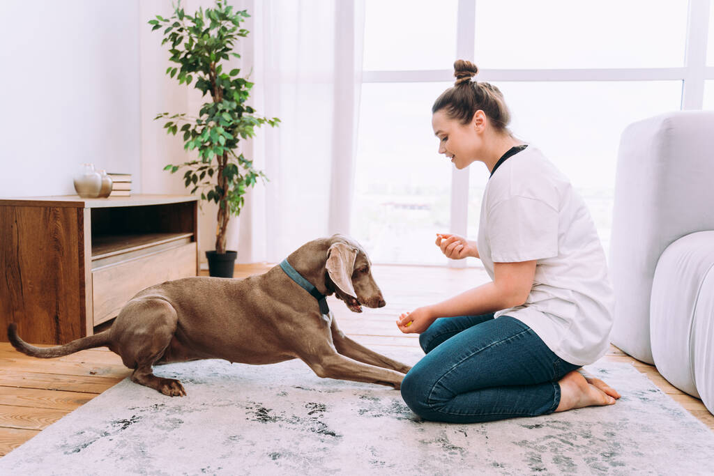 образ жизни молодой женщины дома. Женщина играет со своей собакой в гостиной - Фото, изображение