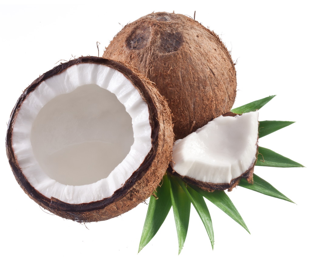 Fotos de cocos de alta calidad sobre fondo blanco
. - Foto, Imagen
