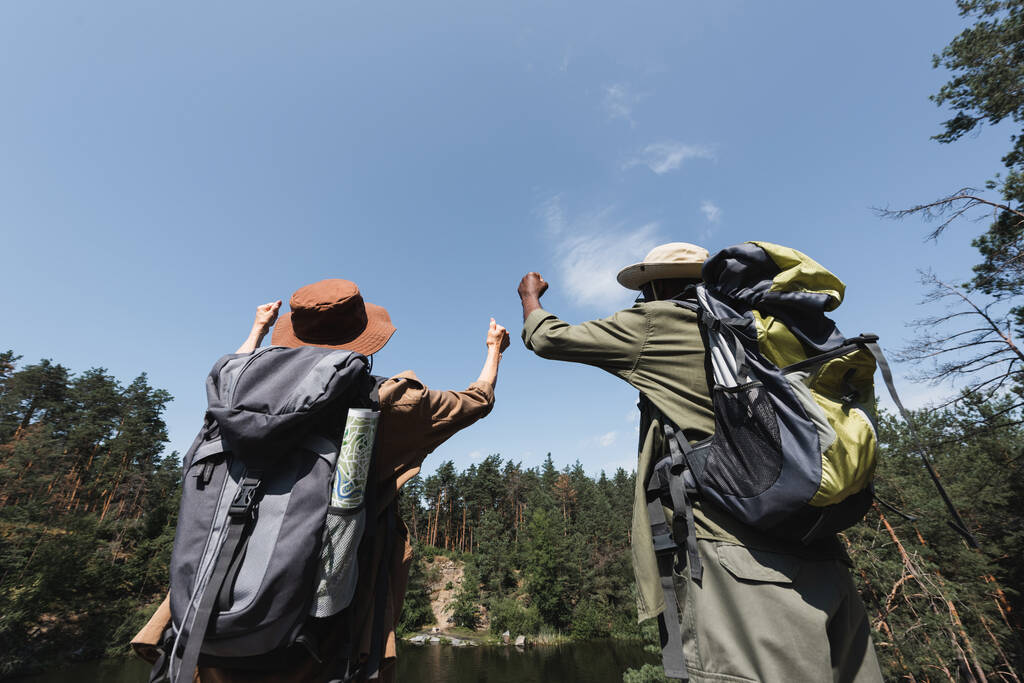 Widok z tyłu międzyrasowych turystów z plecakami i mapą pokazującą tak w pobliżu lasu  - Zdjęcie, obraz