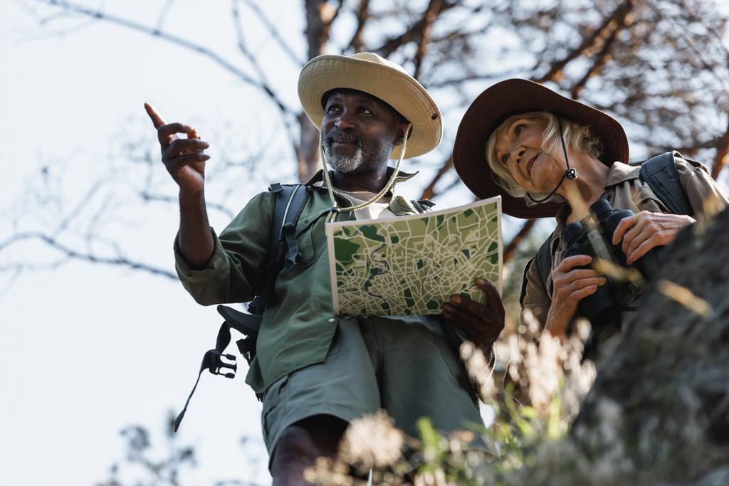 Вид с низкого угла на африканского американского туриста с картой, указывающей пальцем на старшую жену с биноклем в лесу  - Фото, изображение