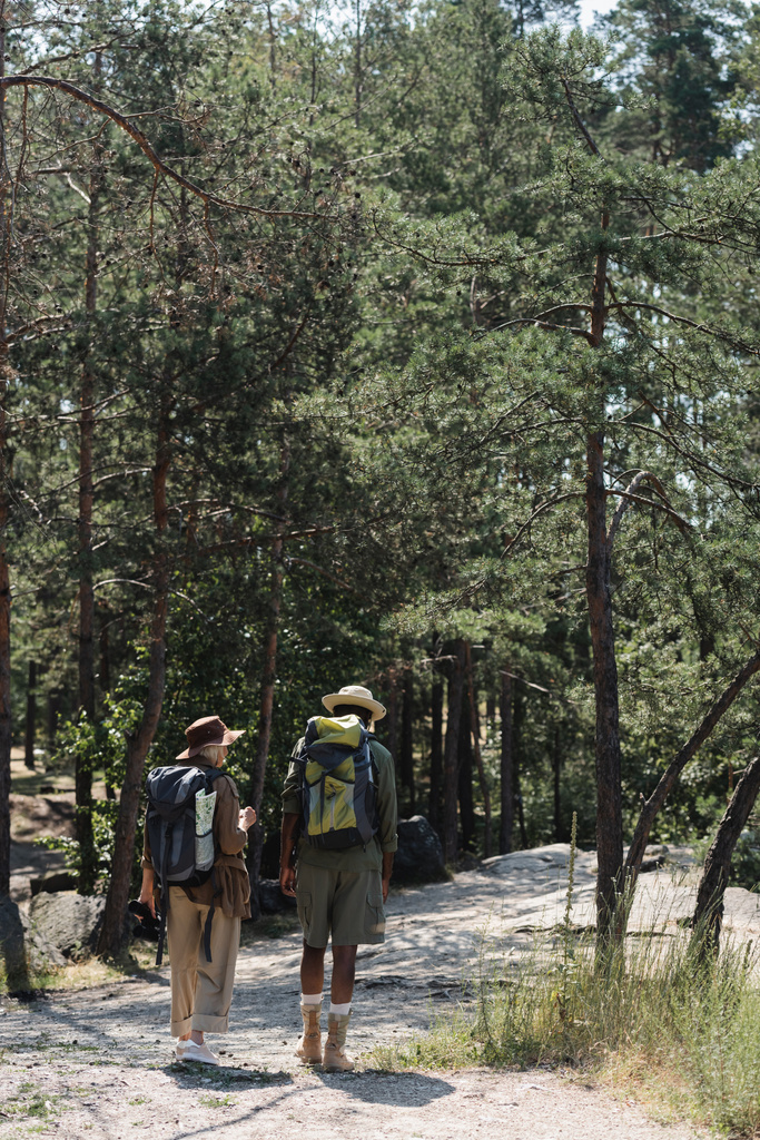 Idős, többnemzetiségű pár hátizsákkal erdei túrázáshoz  - Fotó, kép
