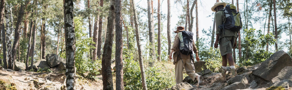 Pareja multiétnica con mochilas caminando sobre piedras en el bosque, estandarte  - Foto, Imagen