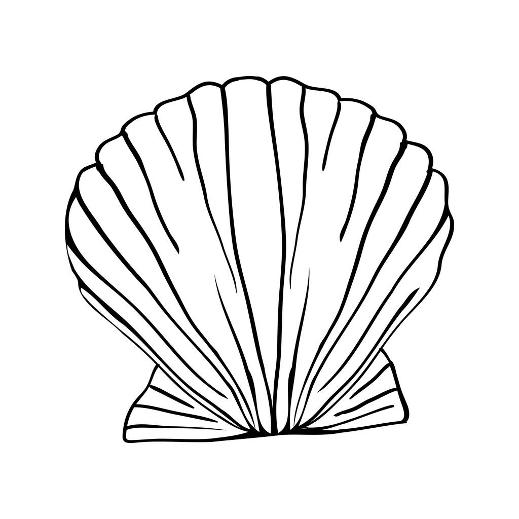 Ilustración vectorial de un garabato dibujado a mano de una concha marina. - Vector, Imagen