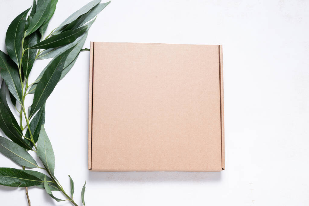 Caixa de papelão marrom com escova de árvore  - Foto, Imagem