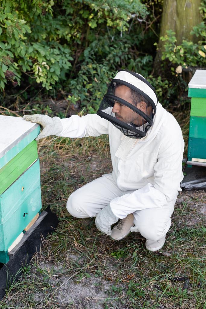 beekeeper in protective suit and helmet near beehive on apiary - Photo, Image