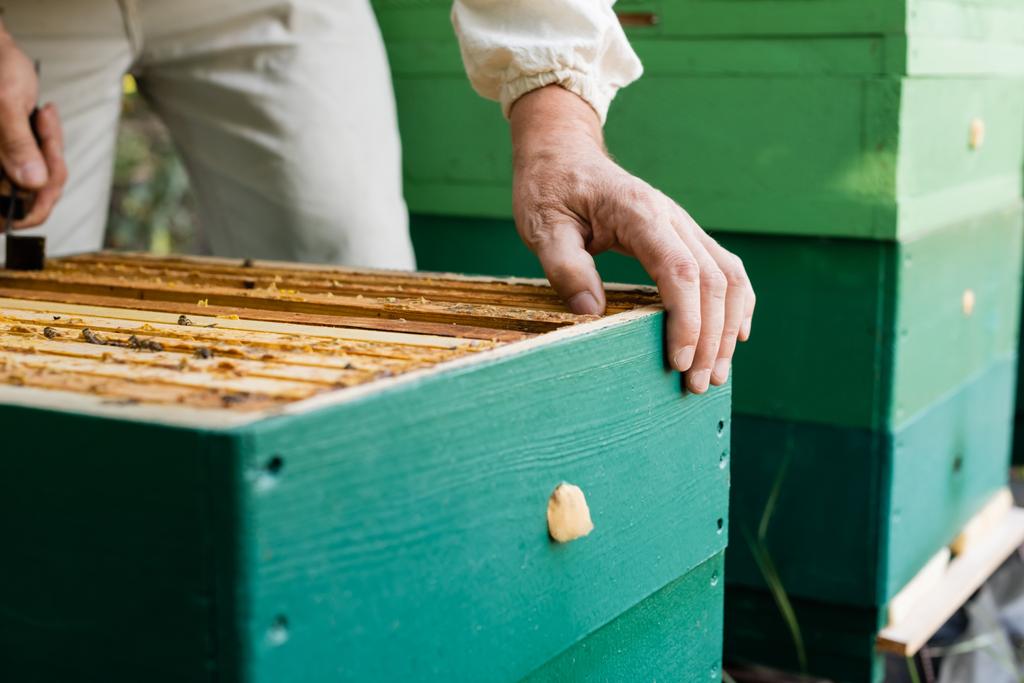 oříznutý pohled na rozmazaného včelaře pracujícího v blízkosti úlu na včelíně - Fotografie, Obrázek