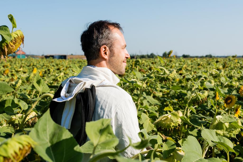 apiculteur en costume de protection souriant tout en regardant loin dans le champ de tournesols - Photo, image