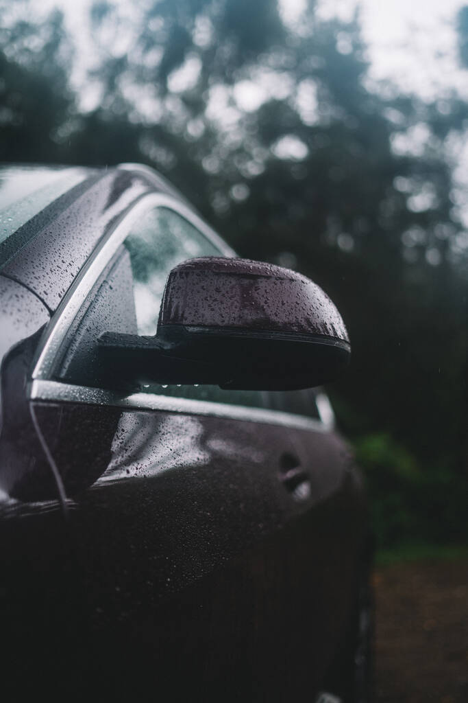 Lähikuva musta auton oven ja peili märkä sadepisarat hämärtynyt puutarha taustalla - Valokuva, kuva