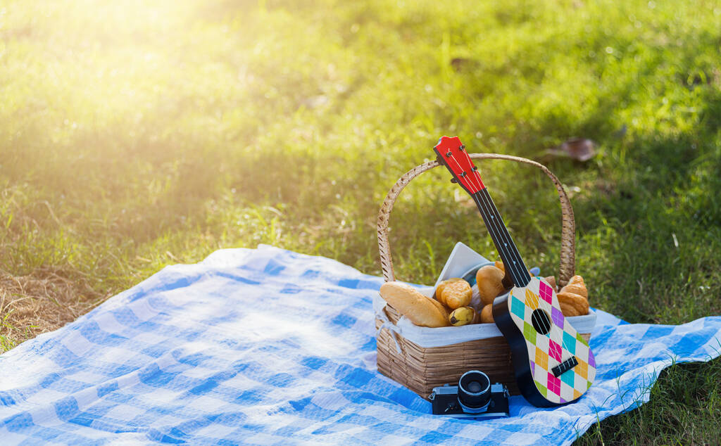 Picnic wattled basket with bread food and fruit, Ukulele, a retro camera on blue cloth in green grass garden with copy space at sunny summertime - Photo, Image