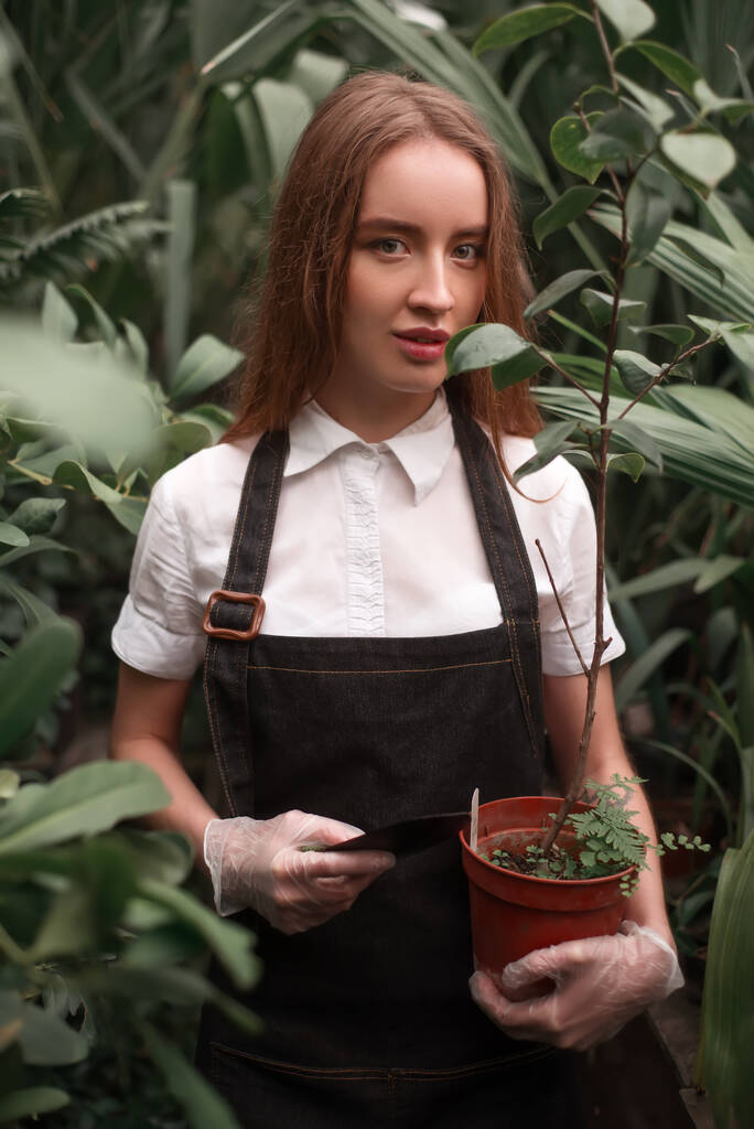 молодая красивая женщина с растением в руках - Фото, изображение