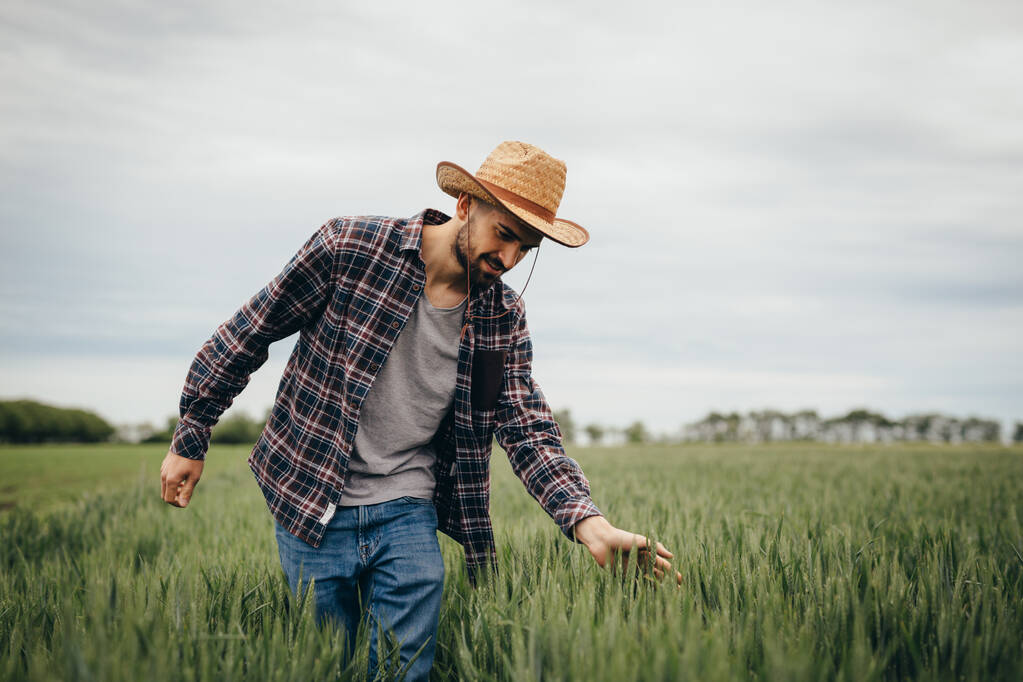 Giovane agricoltore a piedi attraverso il campo di grano
 - Foto, immagini