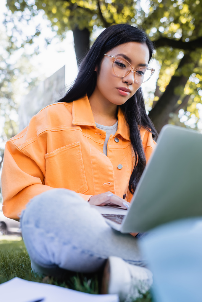 asiático estudiante en gafas usando laptop en parque, borrosa primer plano - Foto, Imagen