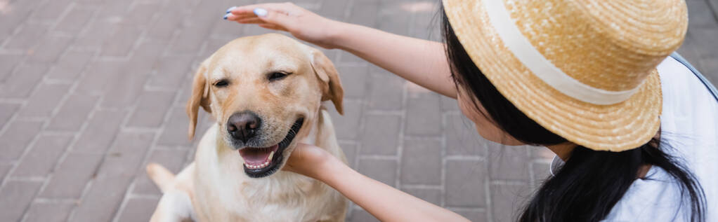 donna in cappello di paglia accarezzando cane labrador all'aperto, banner - Foto, immagini