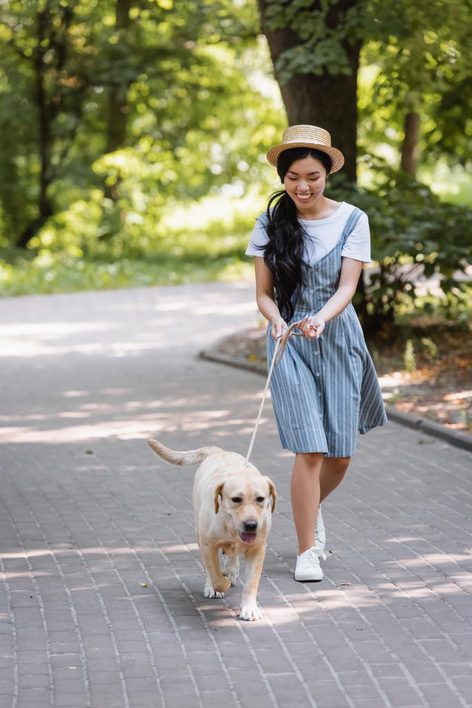 Çizgili elbisesi olan mutlu Asyalı kadın sarı labrador tasmasıyla parkta yürüyor. - Fotoğraf, Görsel