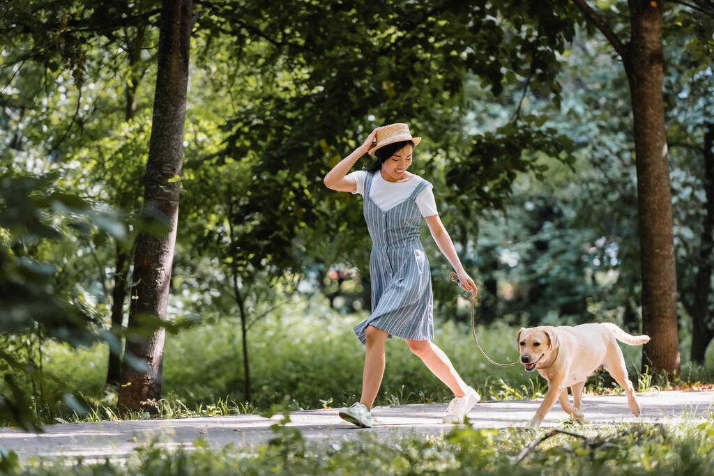 молодая азиатка в сарафане и соломенной шляпе бегает с собакой в парке - Фото, изображение