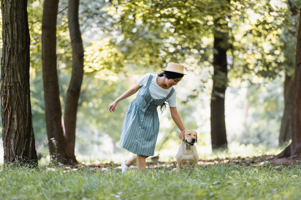 feliz asiático mujer en rayas vestido acariciando labrador perro en parque - Foto, imagen