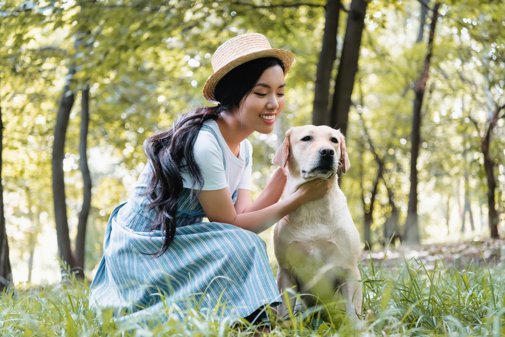 jonge aziatische vrouw in stro hoed knuffelen gele labrador in park - Foto, afbeelding