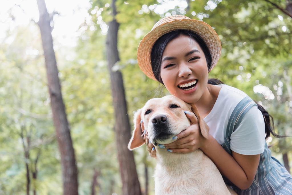 aufgeregte Asiatin lächelt in die Kamera, während sie Hund im Freien umarmt - Foto, Bild