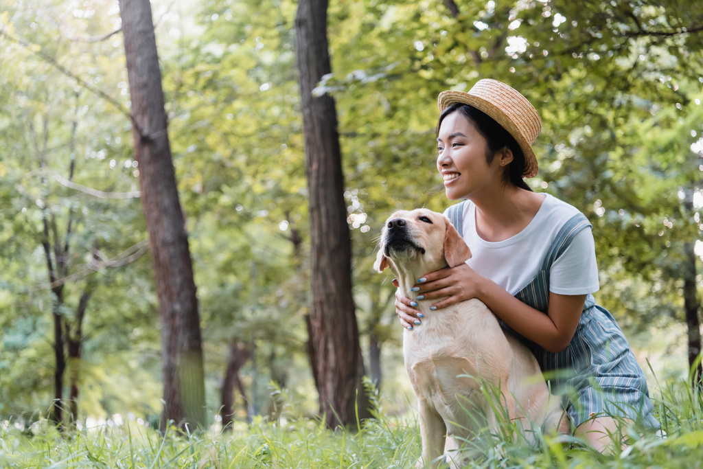 ευχαριστημένη Ασιάτισσα με ψάθινο καπέλο αγκαλιάζει σκύλο και κοιτάζει αλλού στο πάρκο - Φωτογραφία, εικόνα