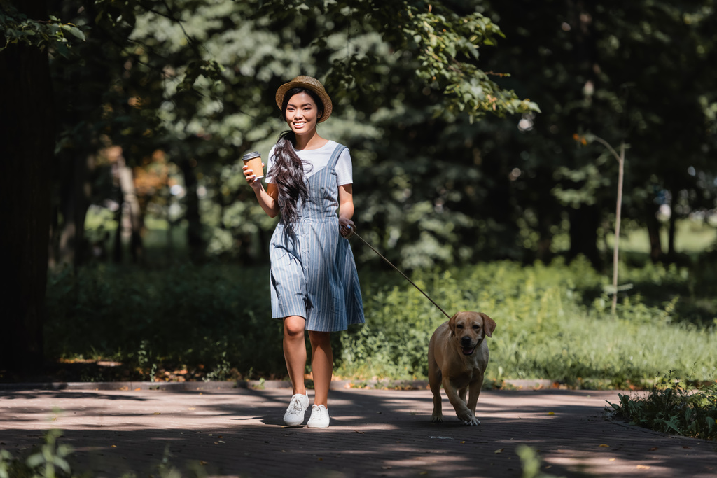 Genç Asyalı kadın labrador köpeği ve kahveyle parkta yürüyor. - Fotoğraf, Görsel