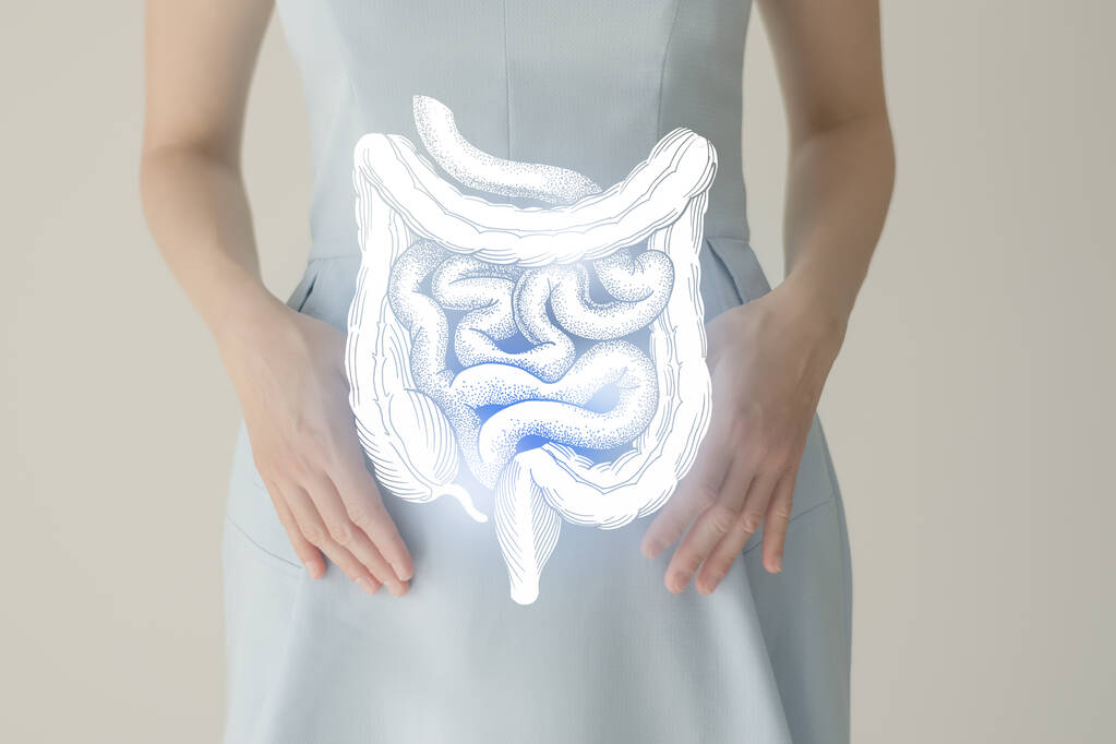 Unrecognizable female patient in blue clothes, highlighted handrawn intestine in hands. Human digestive system issues concept. - Photo, Image