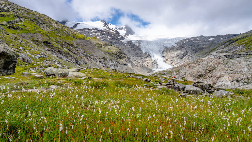 Paisaje de montaña con prado de hierba de algodón y glaciar - Foto, Imagen