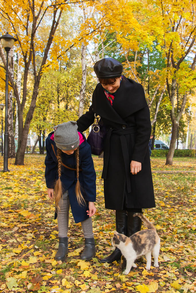Madre con figlia e gatto senzatetto nel parco autunnale - Foto, immagini