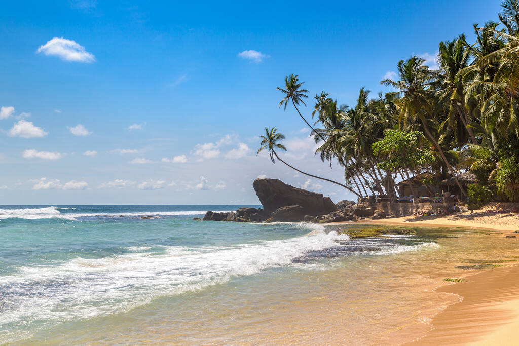 Roca y palmera en la playa Dalawella en un día soleado en Sri Lanka - Foto, Imagen