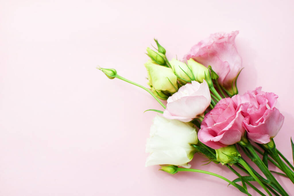 Gyönyörű rózsaszín eustoma virágok (lisianthus) teljes virágban rügyek levelek. Virágcsokor rózsaszín háttérrel. Másolt szóköz - Fotó, kép