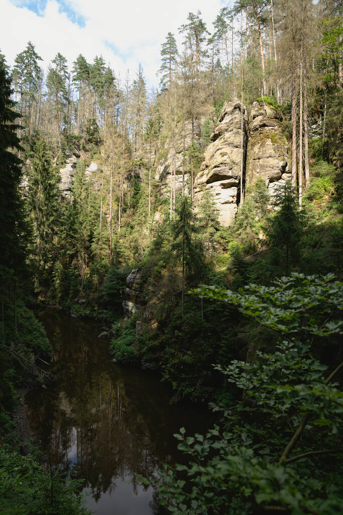 緑の森を流れる小川の垂直ショット - 写真・画像