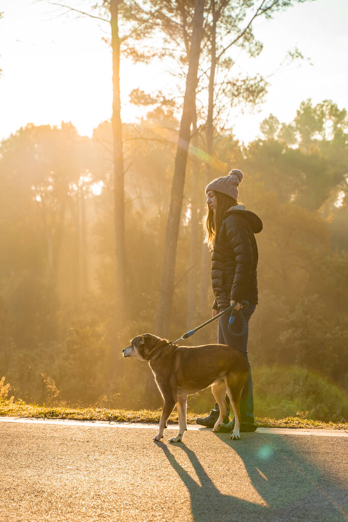 Молодая женщина выгуливает и воспитывает свою собаку на природе с лучами утреннего солнца, теплым светом и длинными тенями. Дружба и любовь к животным. Осенний пейзаж. - Фото, изображение