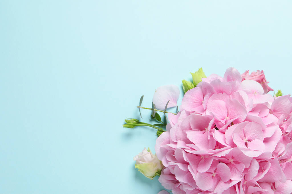 Gyönyörű hortenzia virágok világoskék háttér, lapos feküdt. A szöveg helye - Fotó, kép