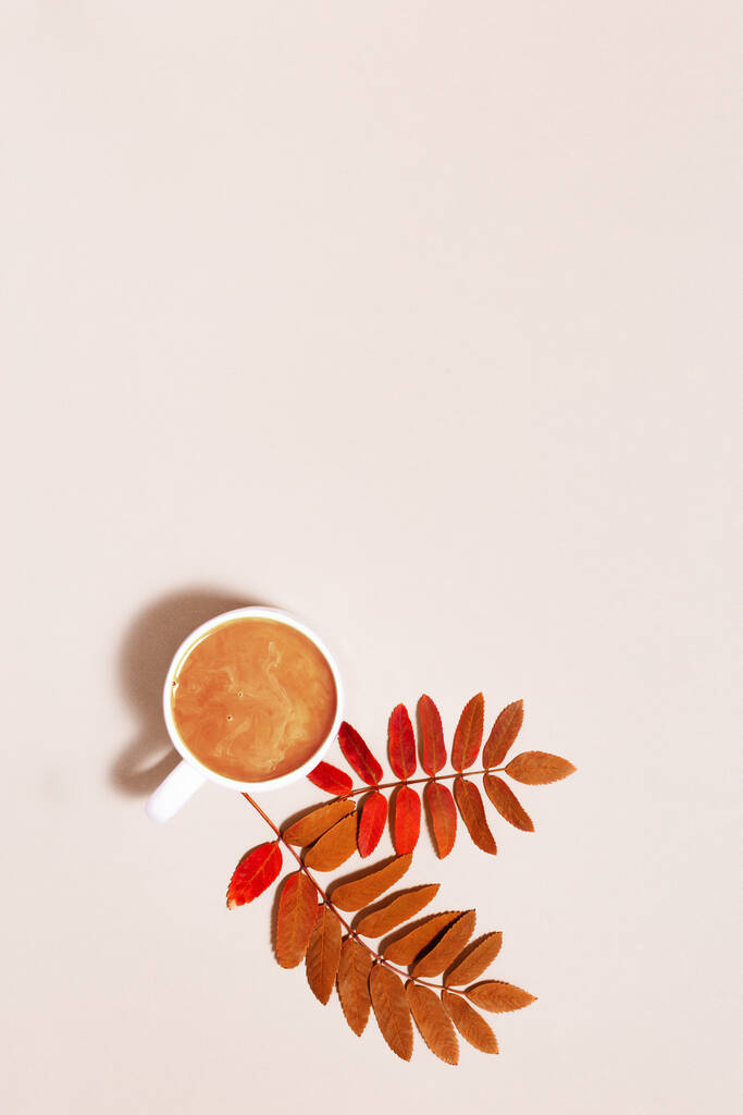 Jesienna kompozycja z filiżanką kawy i czerwonymi jesiennymi liśćmi na różowym tle. Przytulna atmosfera i gorąca kawa z mlekiem. Minimalna płaska, jesienna koncepcja. Przestrzeń kopiowania - Zdjęcie, obraz