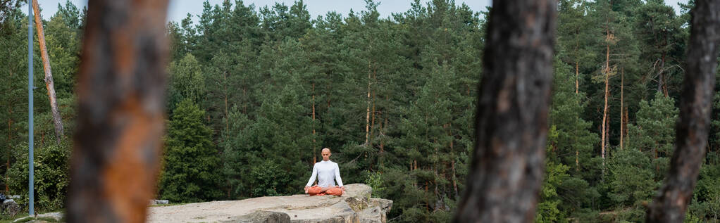 森の岩の上で蓮のポーズでヨガを練習仏教、ぼやけた前景、バナー - 写真・画像
