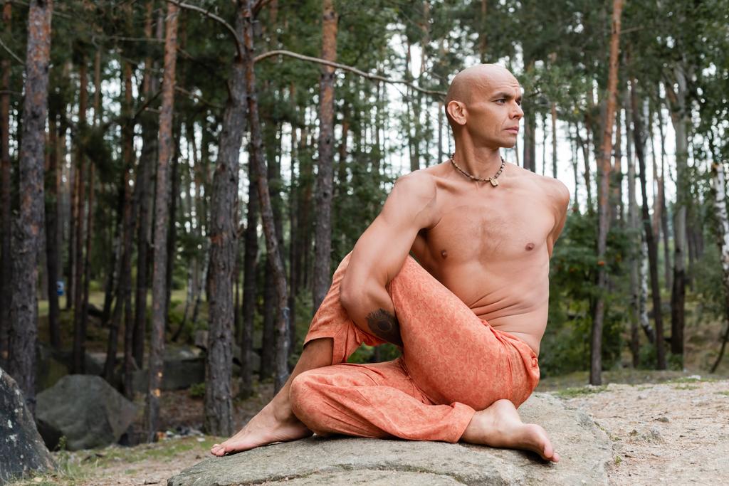 shirtless buddhist meditating in lord of fishes pose in forest - Photo, Image