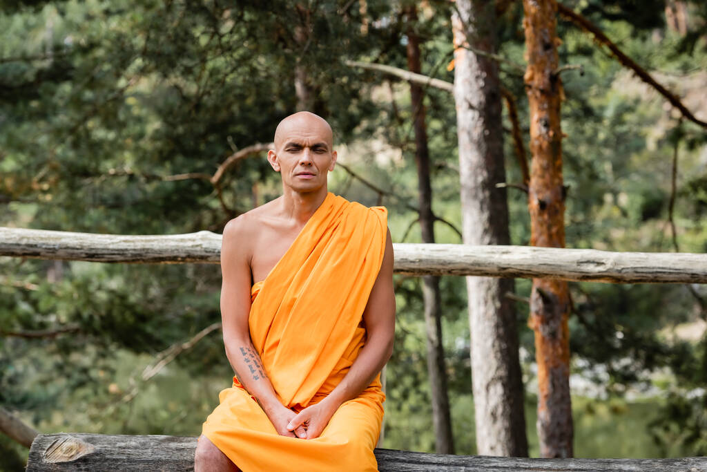 βουδιστής που κάθεται στον πάγκο καταγραφής και διαλογίζεται με κλειστά μάτια στο δάσος - Φωτογραφία, εικόνα