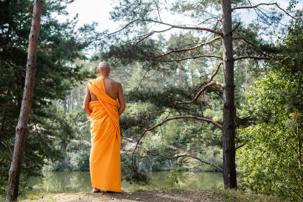 vissza kilátás buddhista narancs kasaya meditál erdő közelében tó - Fotó, kép