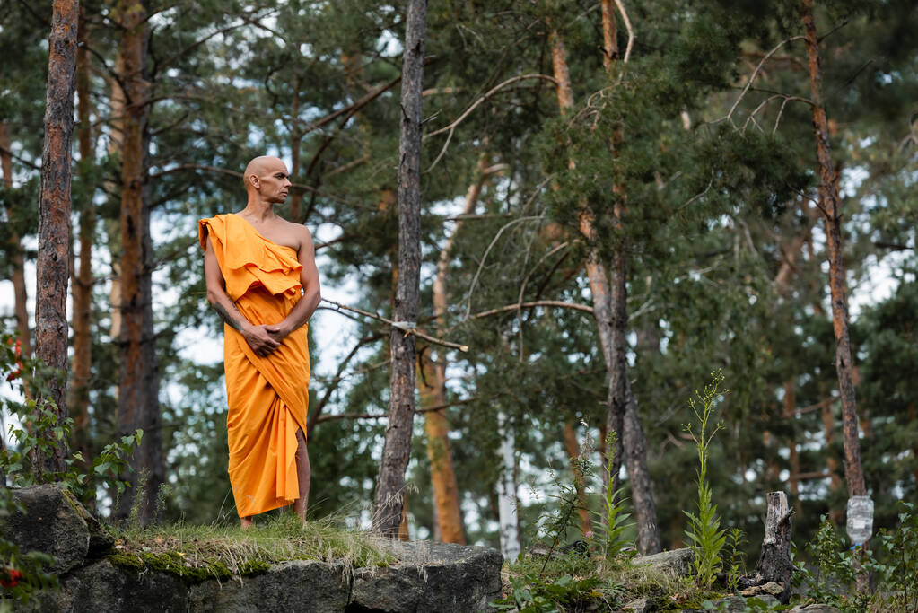 pełny widok długości buddyjskiej w tradycyjnej pomarańczowej szacie stojącej na skałach w lesie - Zdjęcie, obraz