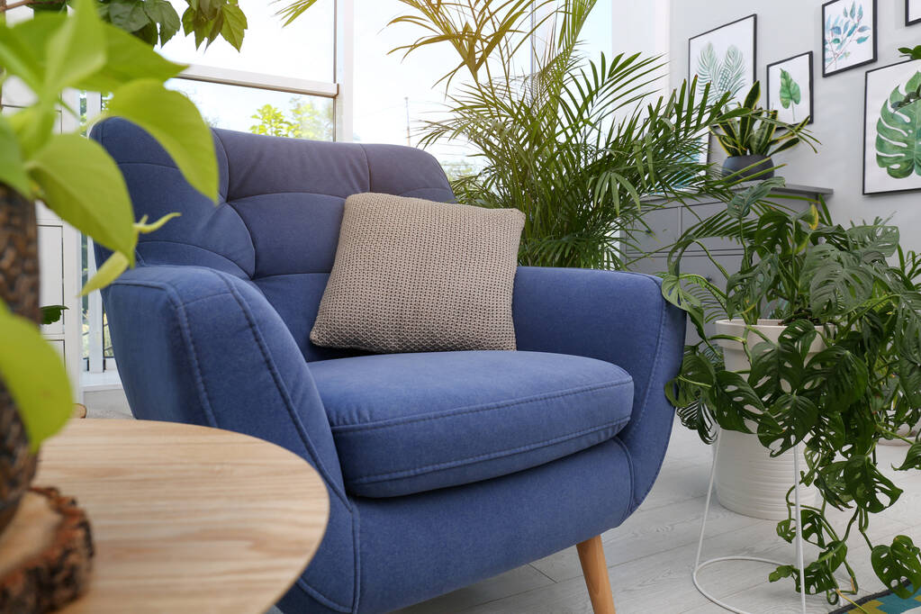 Удобное кресло и красивые комнатные растения в номере. Интерьер салона - Фото, изображение