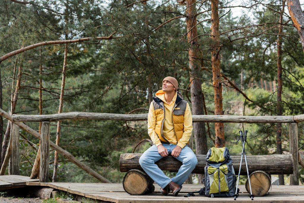 traveler looking away while resting on log bench near backpack and trekking poles  - Photo, Image