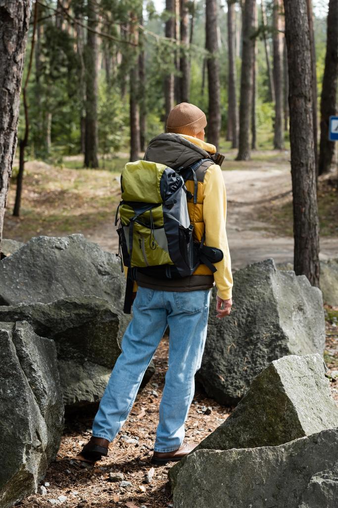 вид сзади туриста с рюкзаком, стоящим возле скал в лесу - Фото, изображение
