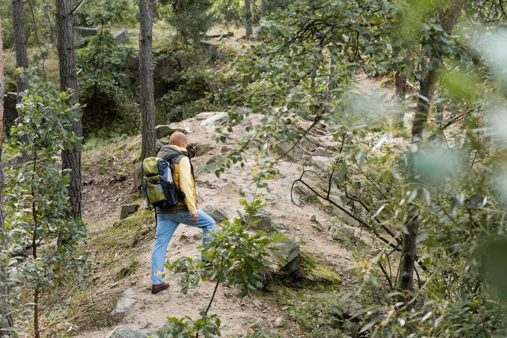 high angle view of hiker with backpack on trail in forest - Photo, Image