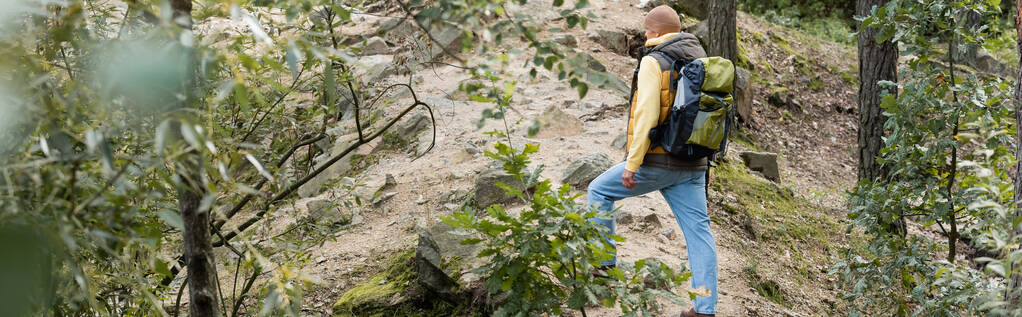 full length view of traveler with backpack standing on trail in forest, banner - Photo, Image