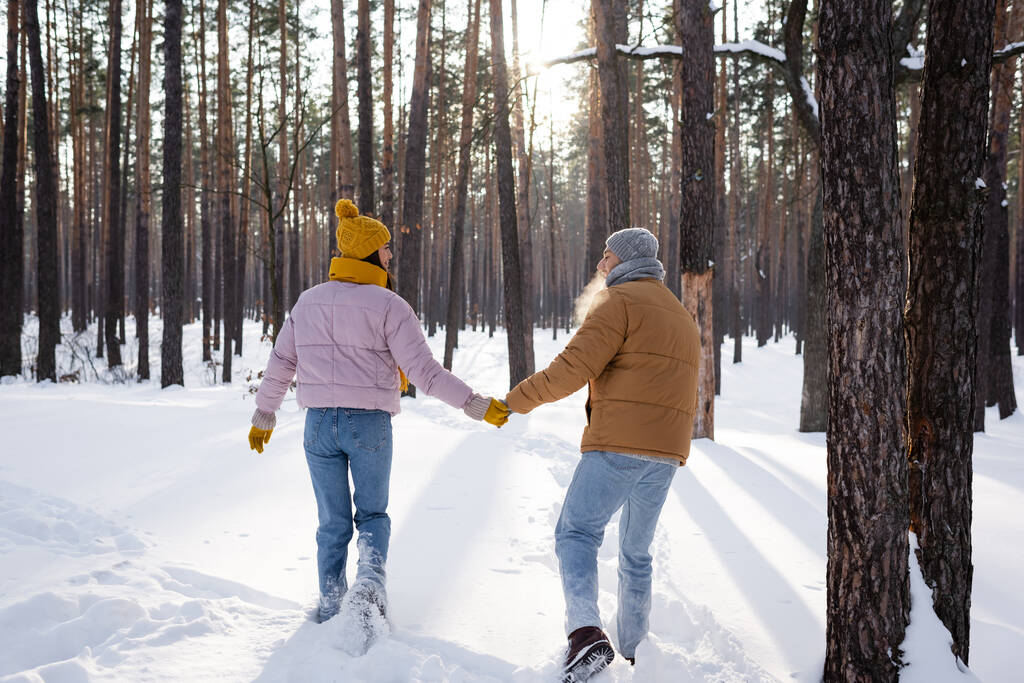 Vue latérale du jeune couple tenant la main dans des gants tout en marchant dans un parc enneigé  - Photo, image