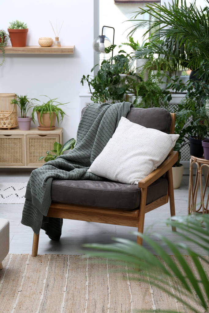 Rahat bir koltuk ve güzel ev bitkileri. Salon iç kısmı. - Fotoğraf, Görsel