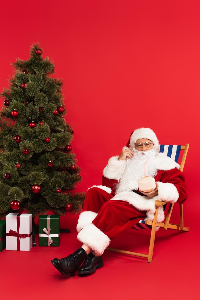 Mikulás claus kezében koktél kókuszdió fedélzet szék közel karácsonyfa piros háttér - Fotó, kép