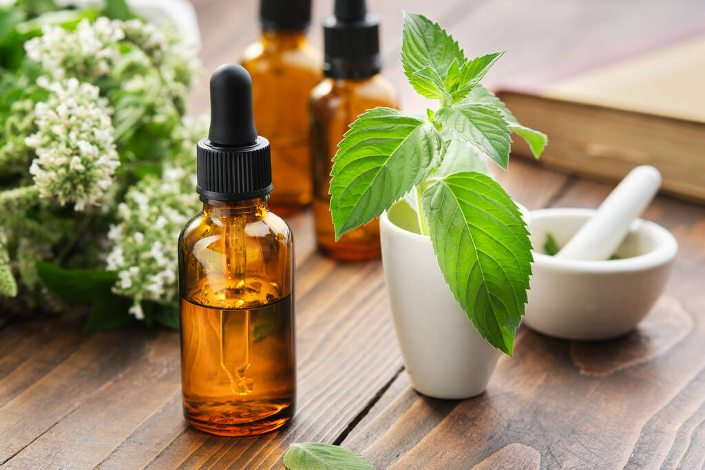 Dropper bottles of mint essential oil, tincture or infusion, mortars of peppermint leaves, blossom spearmint plants and book on background. - Photo, Image