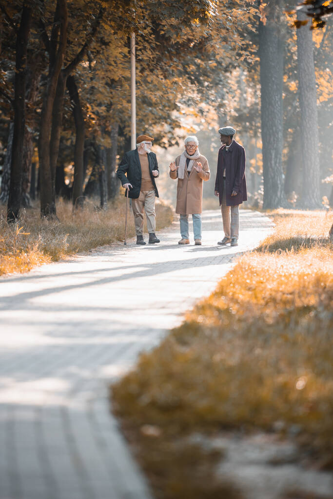 Amigos seniores multiétnicos caminhando no caminho no parque de outono  - Foto, Imagem