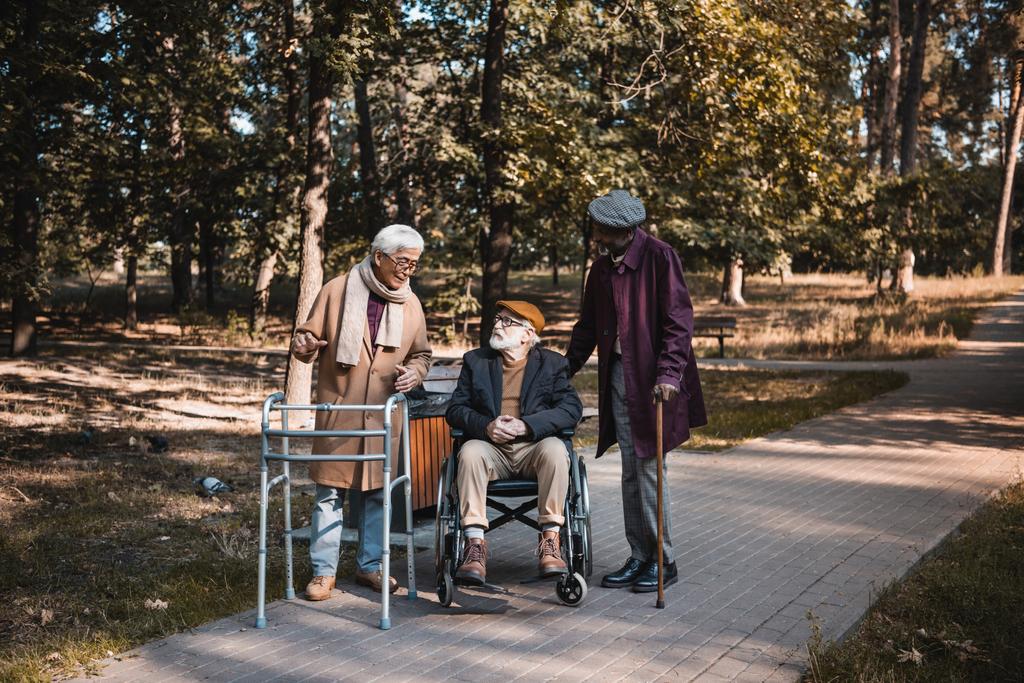 Sonbahar parkında yürüyen iskelet ve tekerlekli sandalyeyle konuşan çok kültürlü arkadaşlar.  - Fotoğraf, Görsel